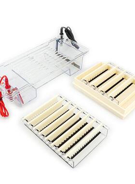 卧式水平电泳仪DYCP-38C型 醋酸膜蛋白电泳仪 六一 注塑