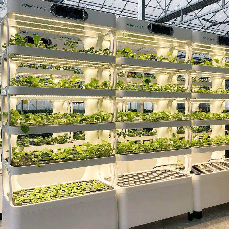 家用阳台智能有机蔬菜种植机无土栽培家庭种菜种花水培植物,鲜花速递/花卉仿真/绿植园艺,割草机/草坪机,淘宝优惠券,粉丝福利购,淘宝优惠卷