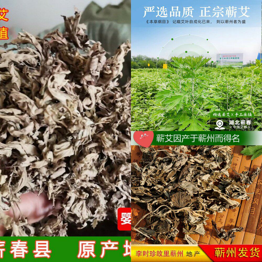 湖北蕲春艾草包500g装端午纯艾草