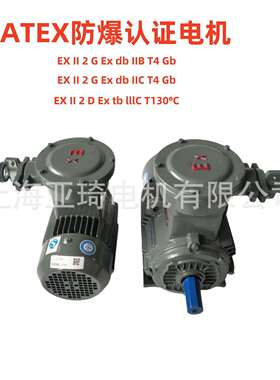 ATEX认证防防爆电机AEX II CT4 防爆马达上海上力防爆EX II BT4