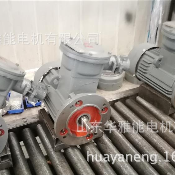 制动YE5EJ-200L-4-30KW电机制动Y2EJ电机船用防爆渔检船检手续全