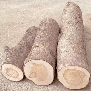 南方红豆杉实木头紫杉醇手串赤柏松摆件边角料雕刻创意水杯养生木