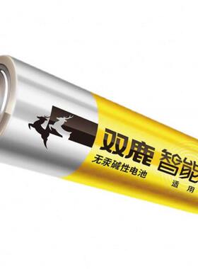 亚太天能专用双鹿5号电池密码指纹锁智能电子门锁凯迪指纹锁电池