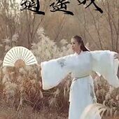 生扇折扇绸演出双面中国风道具原版 古典舞逍遥叹子舞蹈扇布书纯白