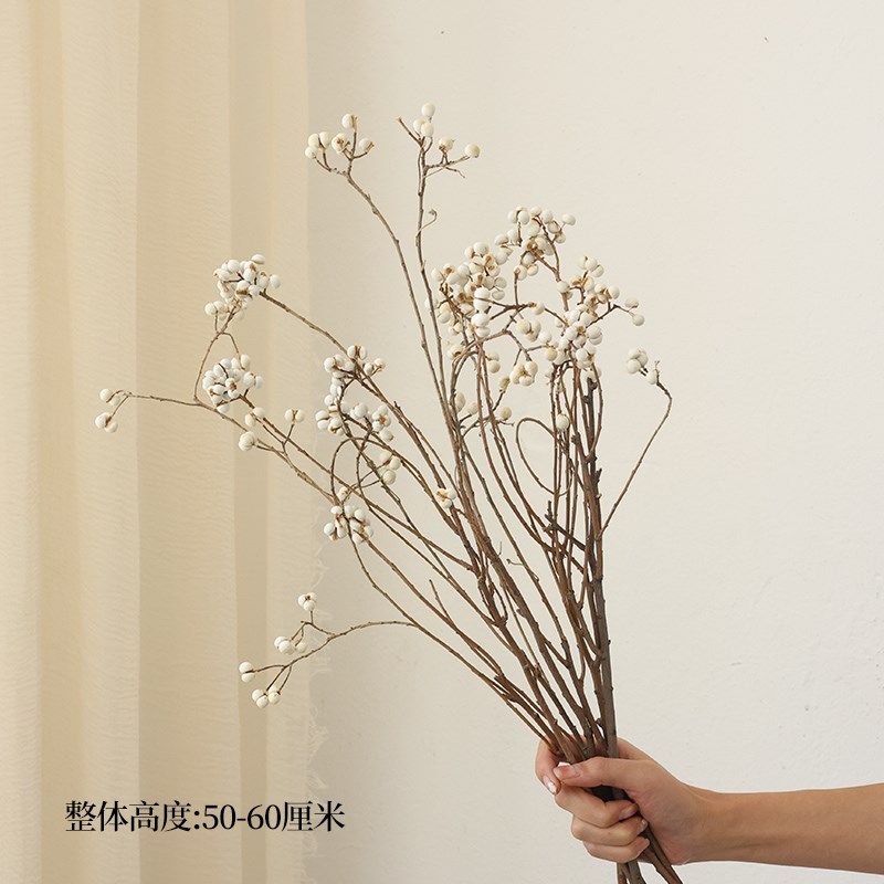 乌桕果小白果干花花束树枝树干z民宿干枝干果装饰插花侘寂风干真