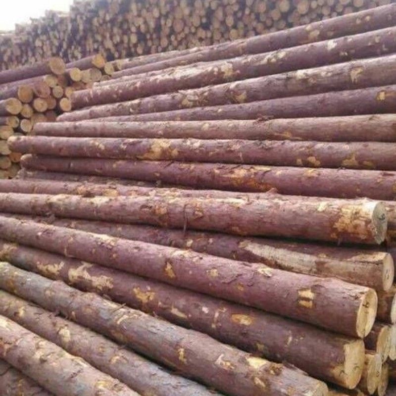 杉木原木木方防潮防腐规格定v制松木桩精品檩条4米6米8米长度定制