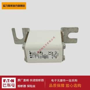 170M2621 熔断器170M2617 170M2620 170M2619 170M1408 170M2618