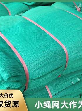 广州绳网黄埔天河施工防护网白色紫色粉红色阻燃安 防尘网 防风网
