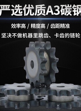 5分双排链轮配件大全10a工业机械传动双排链条齿轮组合传动双齿轮