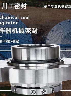 Agitator 一体式机封 TD2-11/250TDS2-60 搅拌器专用机械密封