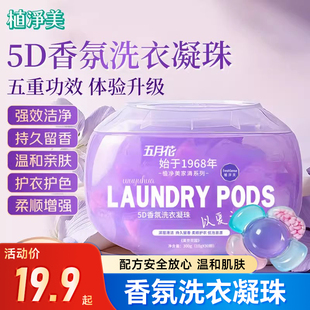 五月花植净美洗衣凝珠留香珠五合一持久留香除菌去污正品官方旗舰