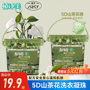 五月花植净美洗衣凝珠山茶花五合一持久留香洁净除菌洗衣液留香