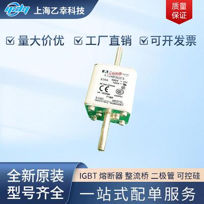 巴斯曼熔断器 170M3023 170M3058 170M3059 170M3060 170M3061
