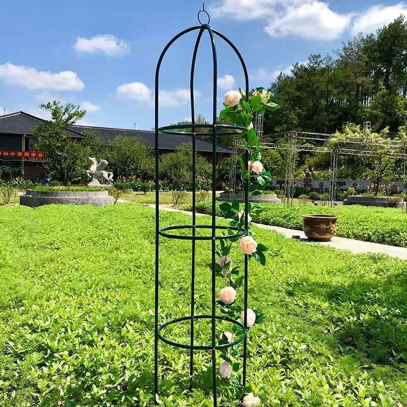 花架圆柱花架爬藤架藤月铁线莲柱形花架圆形花架铁艺爬藤架造凌之图片