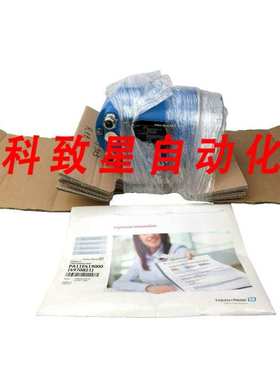 E+H恩德斯豪斯 PROMAG 53流量计 PA11E419000