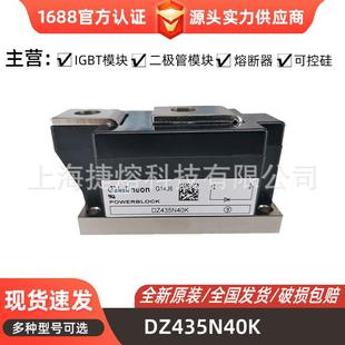 DZ800S17K3半导体IGBT模块 DZ600N14K DZ435N40K DZ540N22KB01