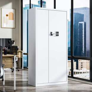 白色钢制办公室保密柜保险柜储物柜国保密码锁资料电子指纹文件档