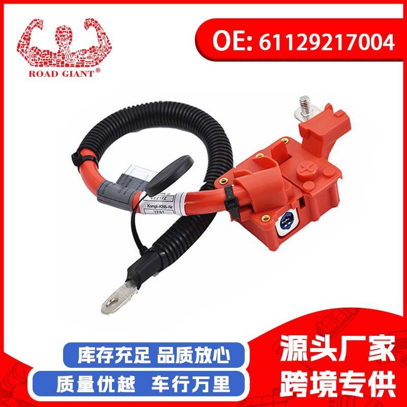 适用宝马X5X6E70 汽车正极蓄电池导线电瓶过载保护器 61129217004