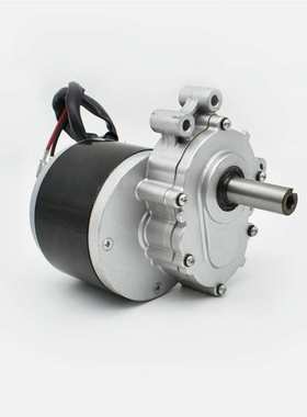 金驰电机MY1016Z2 250W24V 电动轮椅车电机 低转速有刷减速电机