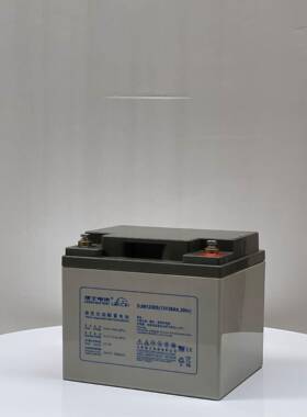 原装理士DJM1238S铅酸式蓄电池12V38AH UPS电源 免维护蓄电池