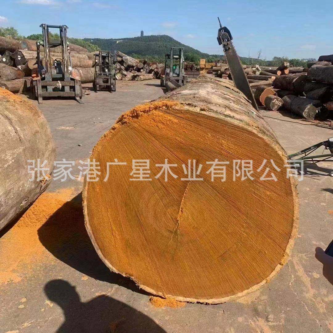 巴新菠萝格实木古建筑原木大口径菠萝格木材户外工程建筑木方