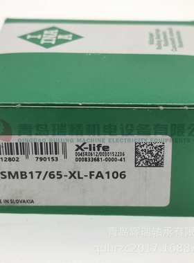 外圈带胶套轴承 RCSMB17/65-XL-FA106 RCSM40/65 RAE17-XL-NPP-B