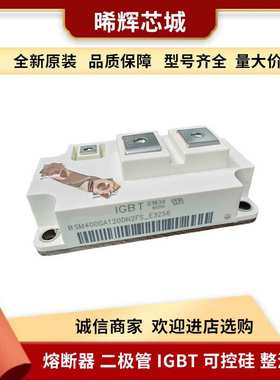BSM50GD170DL BSM75GD170DL 电子元器件 库存充足功率半导体igbt