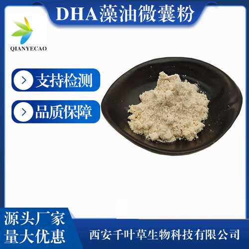 DHA藻油粉20% 现货供应营养增补剂二十二碳六烯酸 藻油微囊粉定制