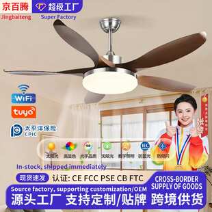 风扇灯吊扇灯客厅大尺寸中古风家用风扇照明一体灯风扇吊灯中山