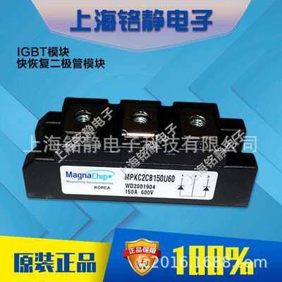 DM2G150SH6NE/DM2G200SH6N/DM2G100SH12AL韩国大卫IGBT