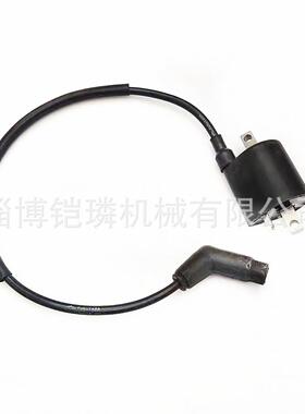 Linhai 260 沙滩车农夫车 高压包 22012