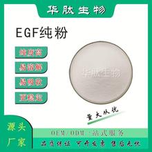 EGF纯粉99%EGF生长因子供应1g/支华肽生物现货包邮