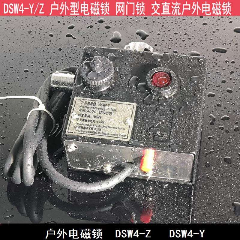 DSW4-Z(Y)户外电磁锁DSW1-2-3-4-5-Y-Z交流220V直流110V220V