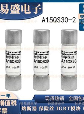 A15QS30-2 A15QS25-2 罗兰熔断器A15QS20-2美尔森FERRAZ保险丝