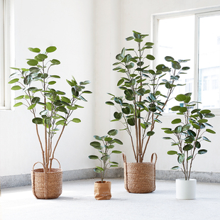 【清仓拍下立减】仿真绿植北欧大型绿植盆栽巴西铁金钱兜室内摆件