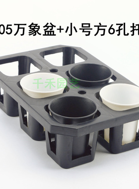 W万象盆配托架 高腰加厚加高圆形大号塑料多肉铁皮石斛蝴蝶兰花盆