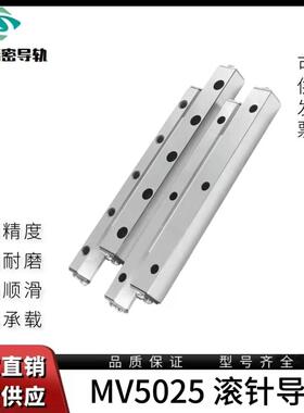 非标滚针导轨机床导轨MV5025-500 V型导轨滚针保持器滑轨618磨床