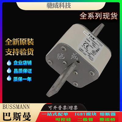 巴斯曼170M6614 170M6615 170M6616 厂家直供零售 低压熔断器