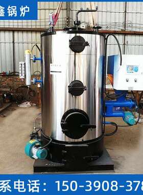 36kw生物质蒸汽发生器烘干蒸煮取暖用生物质颗粒蒸汽锅炉