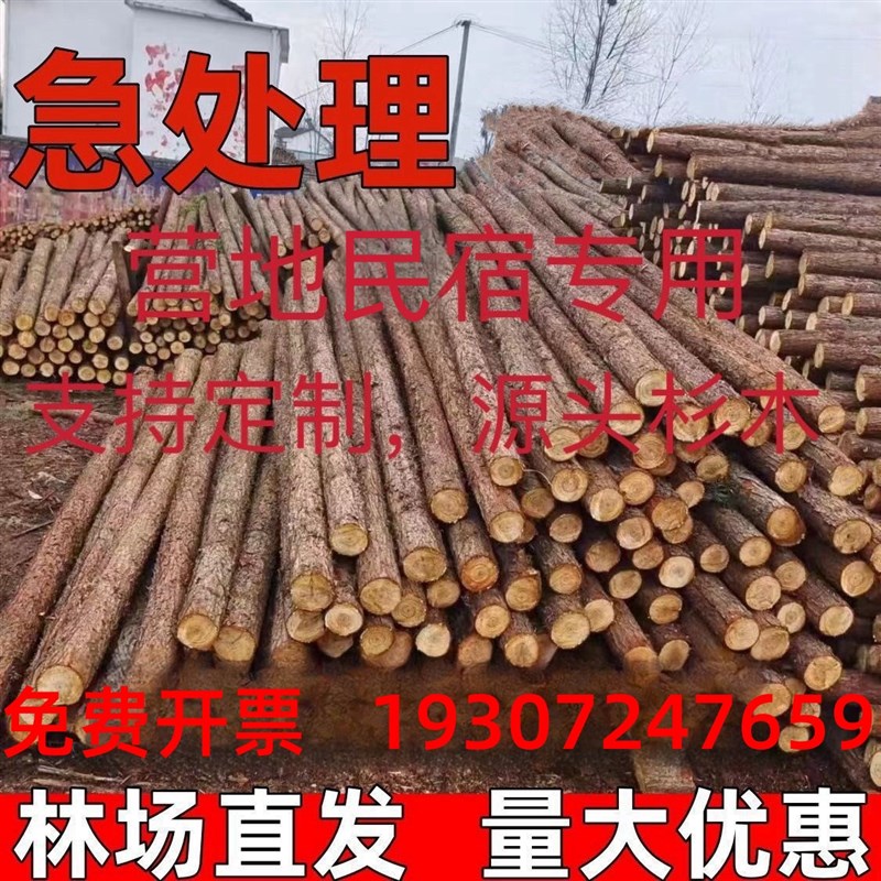 【包邮】打木桩河道n工程驳岸可削尖木桩园林绿化树木支撑杆户外
