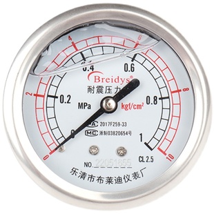 压力表YN50ZBF全不锈钢耐震压力表测水压气压通用1.S6 100mpa多量