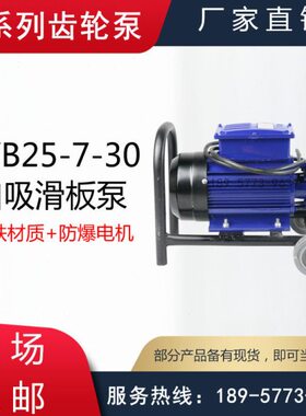 泵3225-/65型输片-0型式B送B滑铸铁自35K吸电动滑板Y-25-泵K8Y