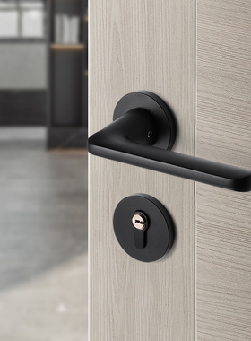 黑色室内门锁磁吸静音分体极简门把手房间M卧室实木木门家用房门