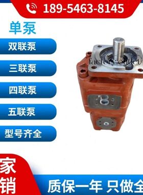 0转 1A  019柳工泵410齿轮泵C向110泵 306310工作 68511装载机