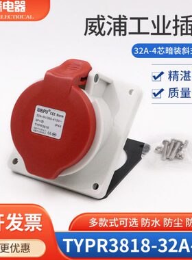 4 38T（）倾斜IP芯32连接器Y威浦孔座 IPA4PR工业插座WE418座U