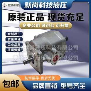 油泵 11.5国产精装 5.8 GPYZ 淮安长江液压齿轮泵GPY
