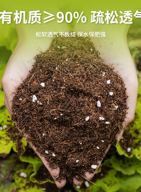 绿萝专用土长藤绿萝种植土壤室内植物养种花卉通用型的有机营养土