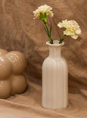 花瓶摆件客d厅插花轻奢高级感白色陶瓷复古法式水培水养鲜花小口