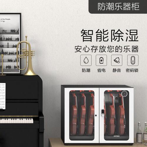 LENTHEM领顿电子防潮箱219W小提琴乐器柜干燥箱 除湿机带密码锁