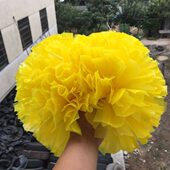 比赛花手啦啦队啦啦操5寸拉花拉会花球运动广场舞哑光花手柄手拿